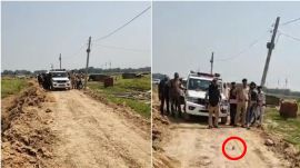 Bihar shoot