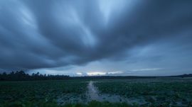 Monsoon