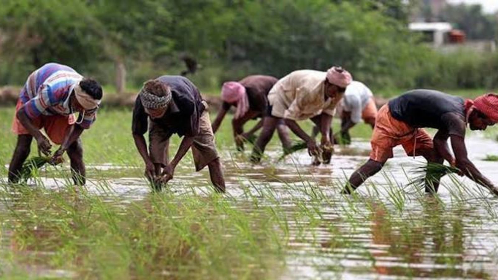 PM Kisan Yojana 23rd Installment Date 2026: When Will ₹2,000 Be Credited? Check the expected date, Status, and beneficiary list