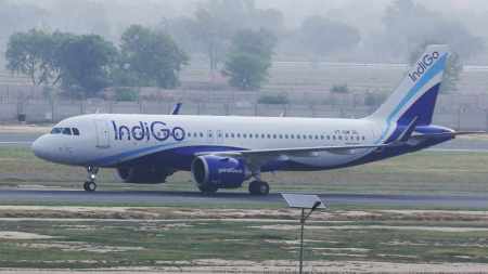 indiGo