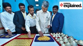 Andhra Pradesh Chief Minister N. Chandrababu Naidu, during the inauguration ceremony of a Rs 405-crore gold mining and processing project at Jonnagiri, in Kurnool on Wednesday.