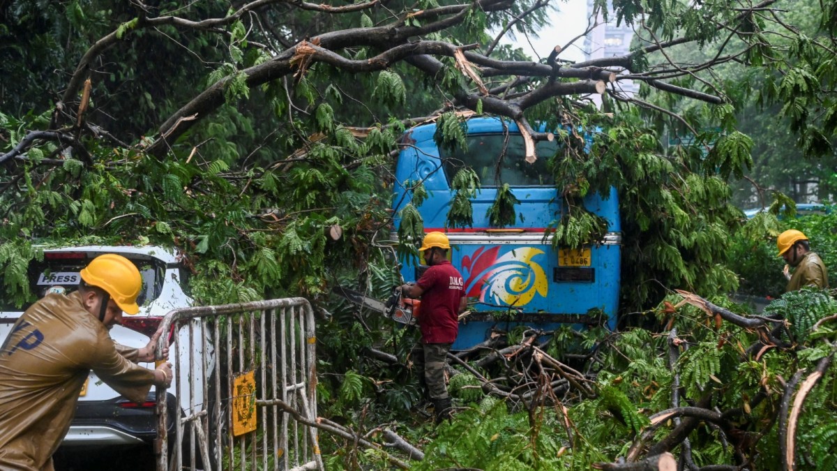 Heavy rains lash parts of Kolkata; trees uprooted, traffic disrupted |  Kolkata News - The Indian Express
