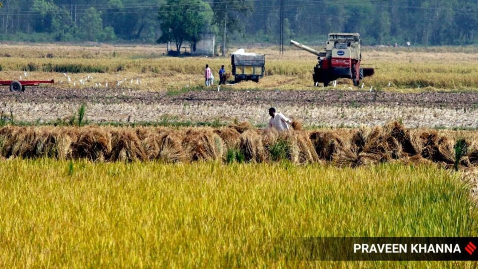 Bhagwant Singh surplus land case: Ambala officer cancels mutation of 810 acres | Chandigarh News