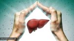 liver health