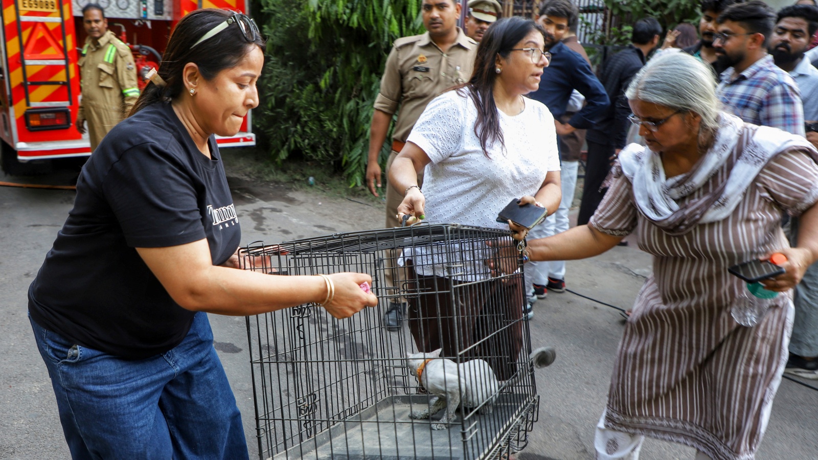 Amidst Lucknow Coaching Centre Blaze, Rescue Teams Save 16 Animals Trapped on Ground Floor