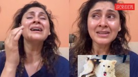 Jaanu Tu Ya Jaane Na actor Manjari alleges society dog killed with rod