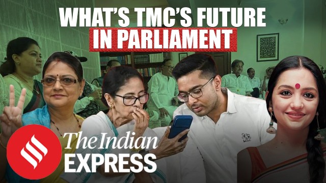 What Will Happen To TMC? 29 Rebel MPs Are Ready To Join BJP| Mamata Banerjee| Explained