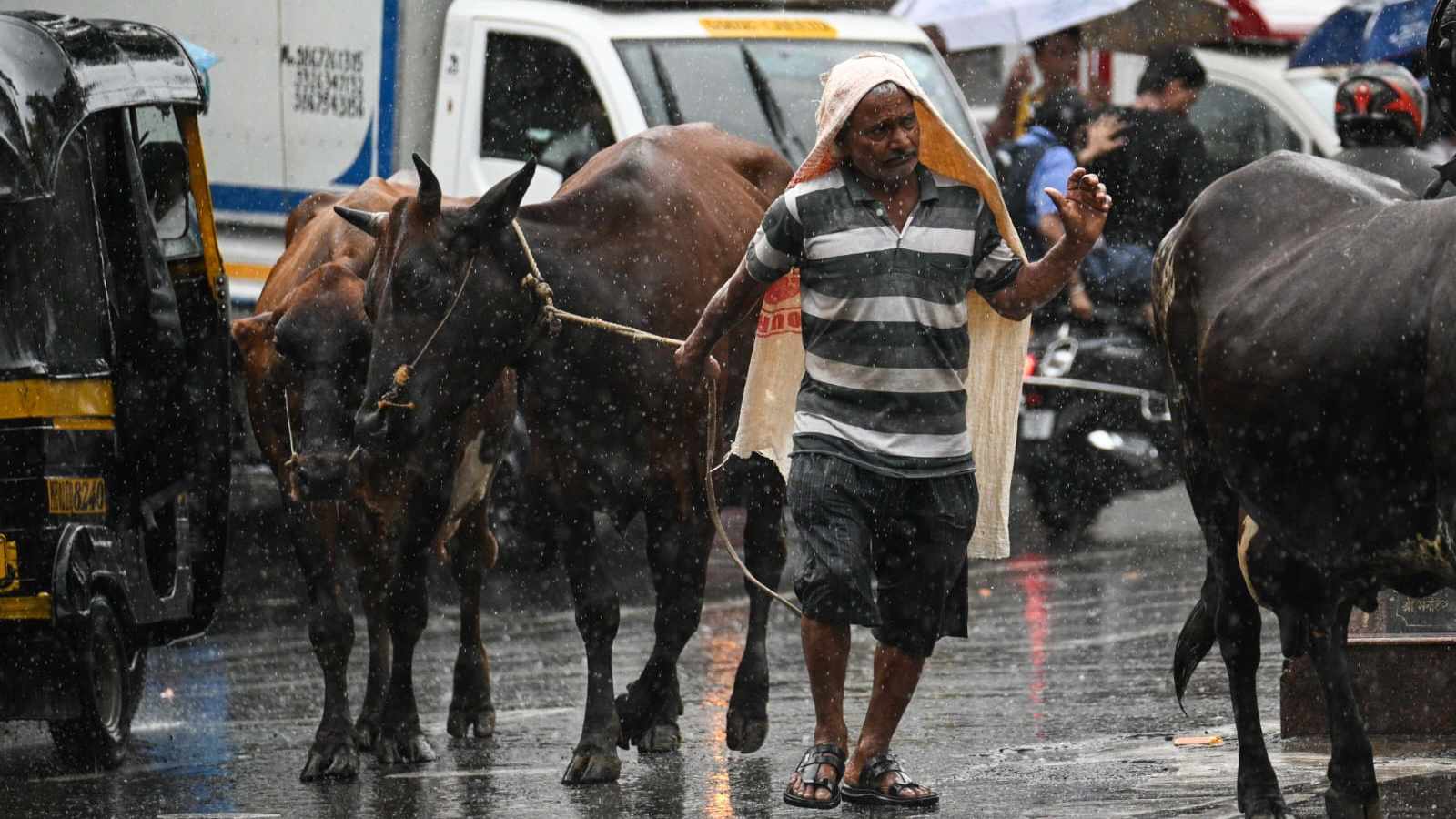 Mumbai rains