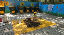 delhi waste processed in 8 years. delhi waste management, waste management, Municipal Corporation of Delhi (MCD), zero-waste residential colony in Delhi, delhi news, India news, Indian express, current affairs
