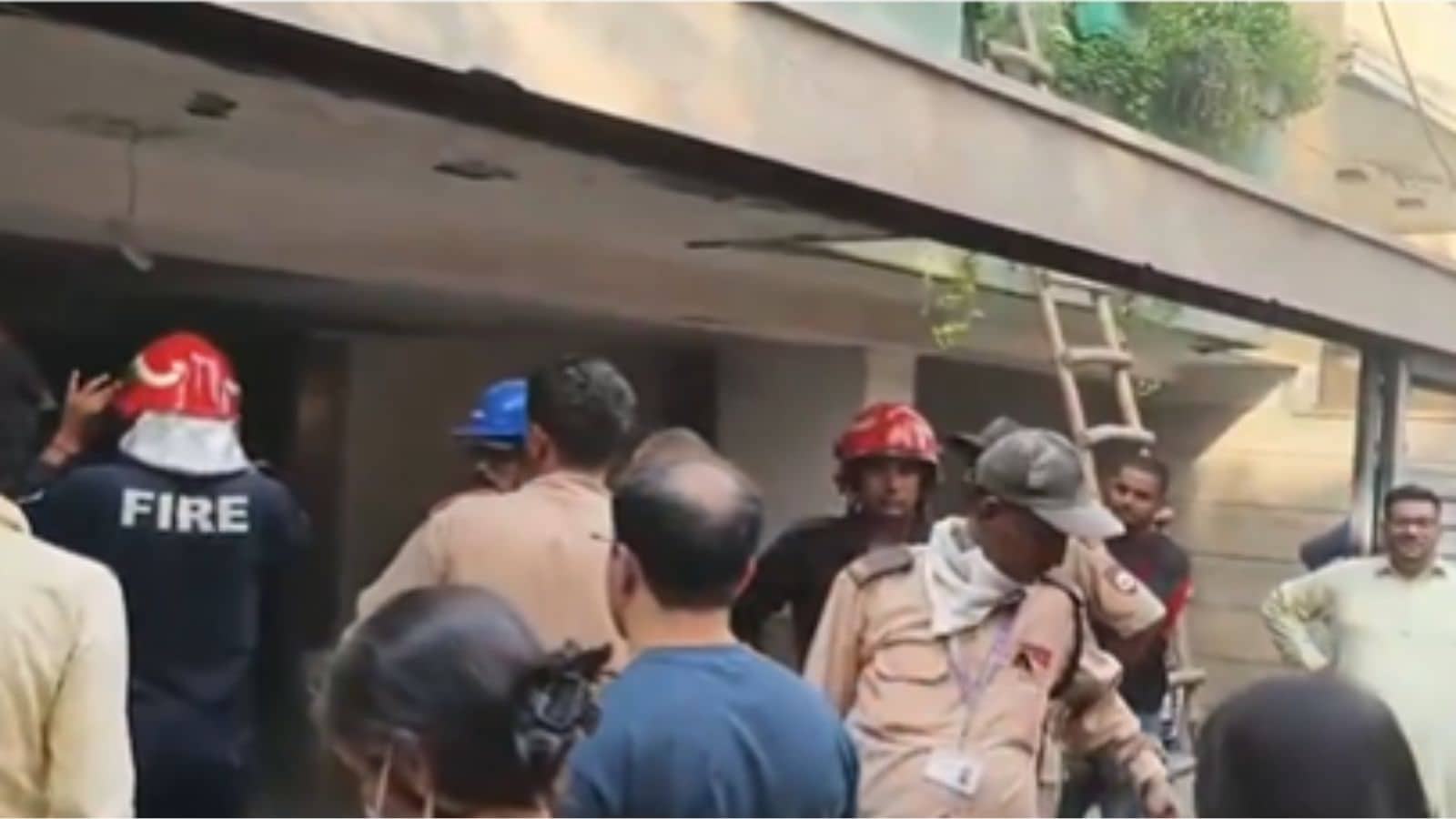 Fire breaks out at house in New Friends Colony; 8 rescued, 2 pets killed | Delhi News