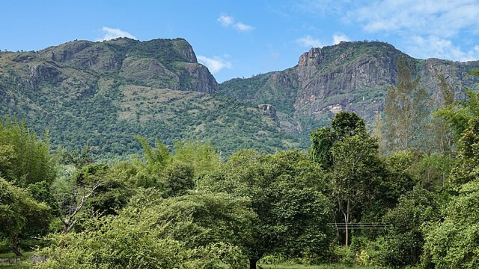 15 months & counting, Rajasthan Forest Department sits on it