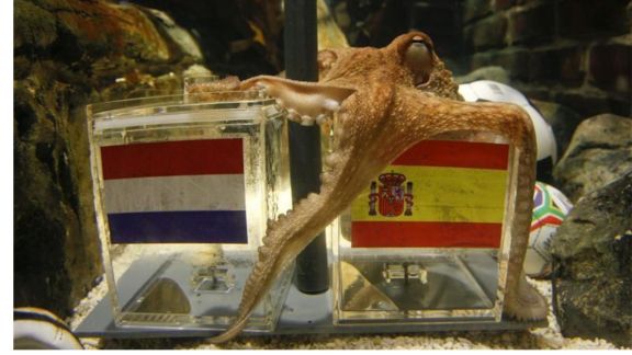 Octopus