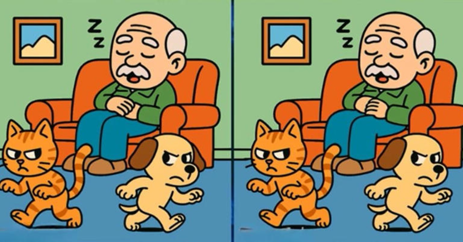 Spot the difference puzzle with sleeping old man