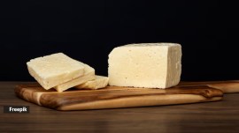 is high protein paneer a scam