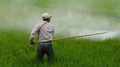 Doctors missing pesticide-linked illnesses, says PAN India report