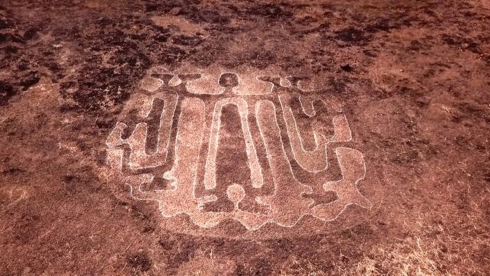 Maharashtra bets on AI to solve Konkan's oldest mystery