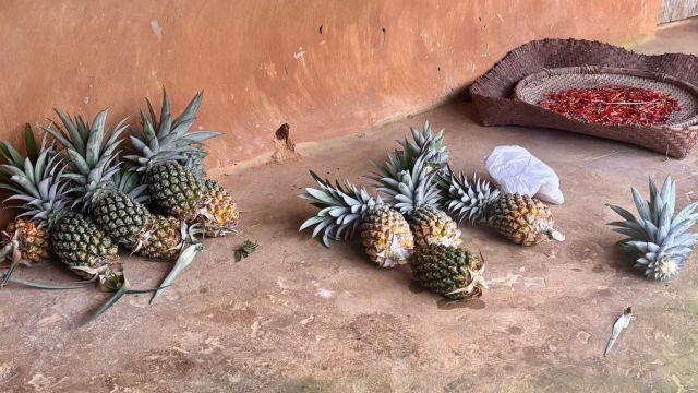 As the fruit seeks to make its presence officially felt in the national capital, the government of the second-smallest northeast Indian state says it has already decided on the next big steps in its bid to make ‘Tripura Pineapple’ a global brand.
