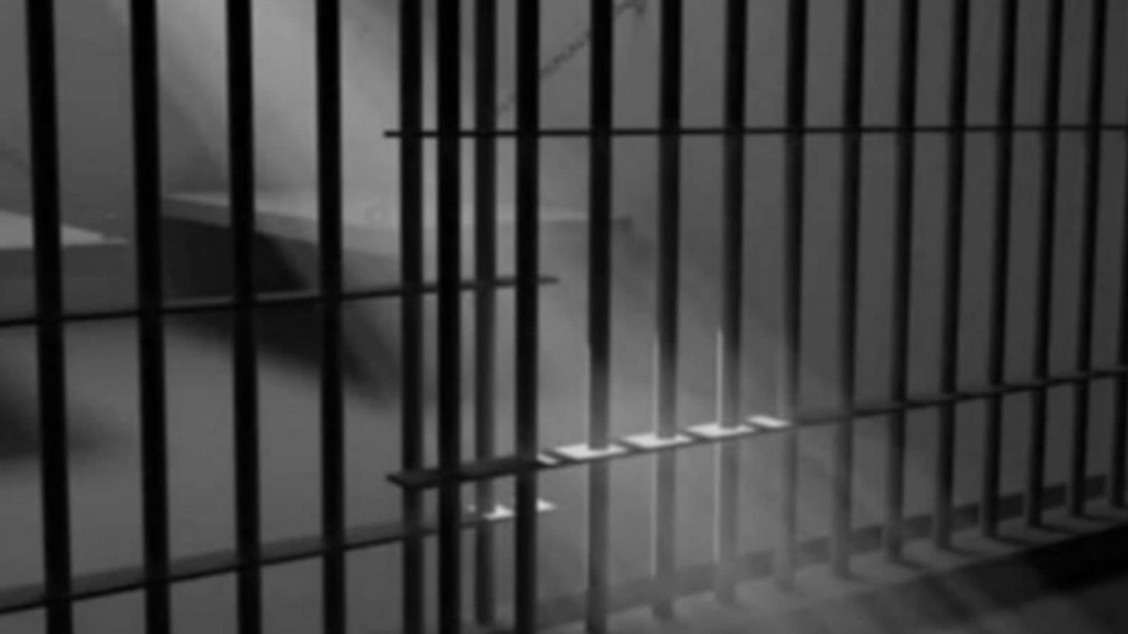 Locked up, fed raw rice, kept away from twins: After 10-month ordeal at in-laws’ house, woman ‘doesn’t remember the year’