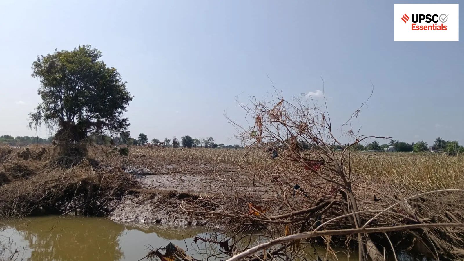 indianexpress.com - Nitendra Pal Singh - UPSC Essentials | Daily subject-wise quiz : Economy MCQs on restoration of degraded, deforested land, BRICS Indore Declaration and more (Week 167)