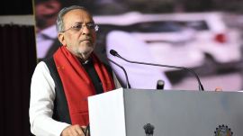 Forest Minister Arjun Modhwadia confirmed the negative reports, shifting the probe toward heat stress or territorial infanticide.