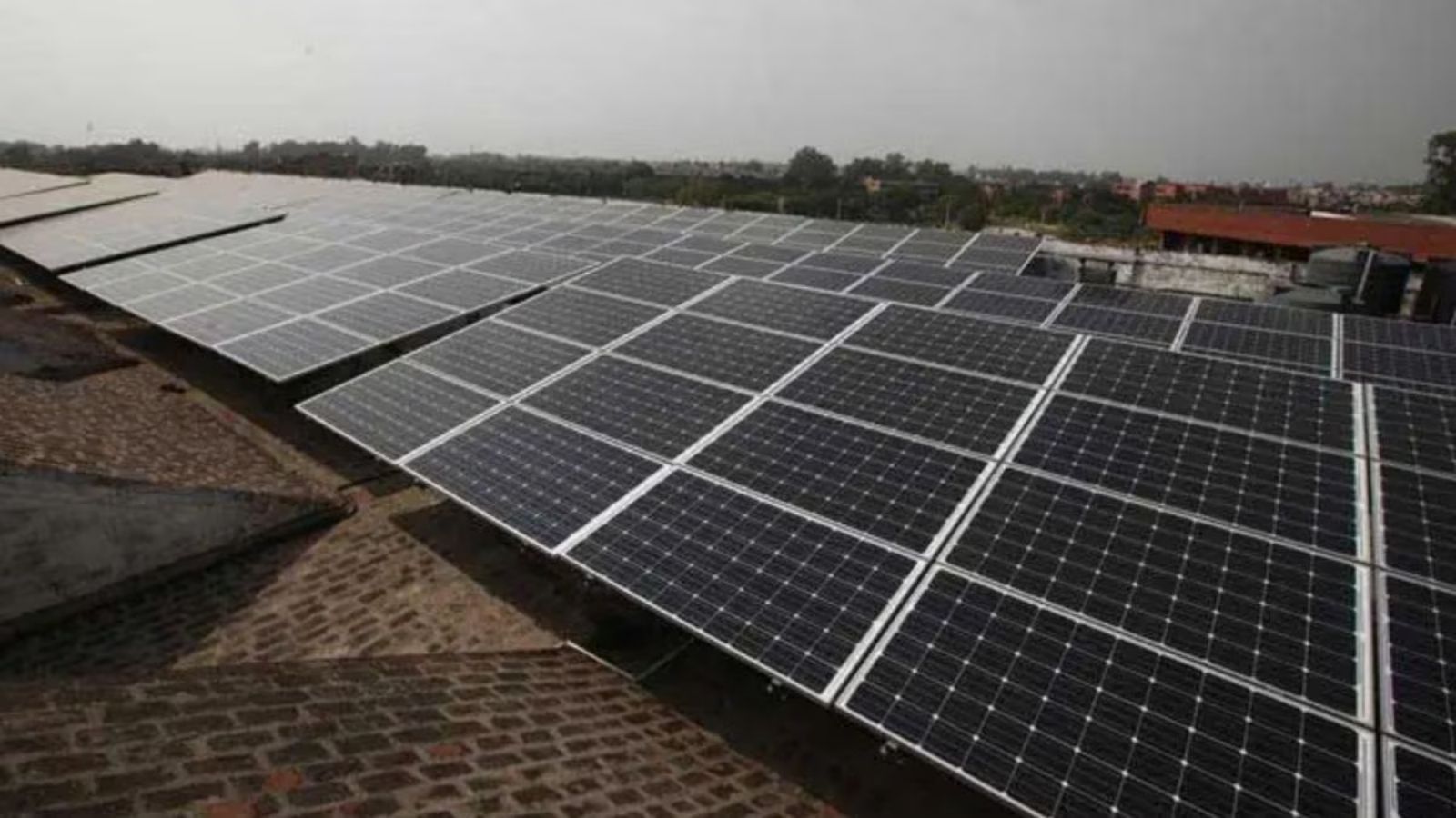 Agriphotovoltaics: A Dual Solution to India's Energy Dependence and Farm Income Woes