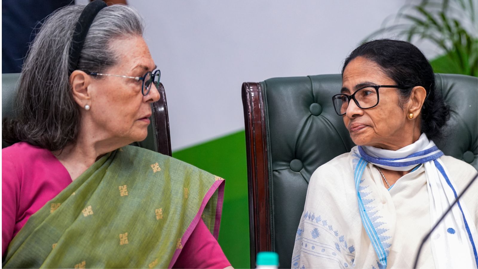 sonia mamata