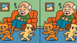 Spot the difference puzzle with sleeping old man