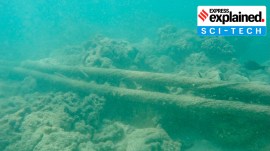submarine cables