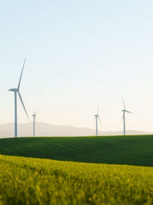 Indian villages leading in sustainability initiatives