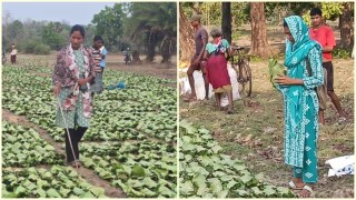 A corruption scandal and an opportunity: How 2 tribal women stepped into leadership roles in Naxal-hit Sukma