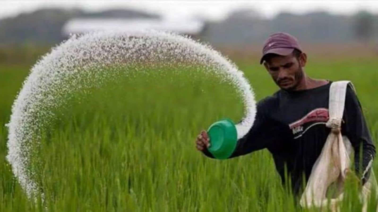 Himachal receives nearly 2,790 tonnes of urea ahead of khari