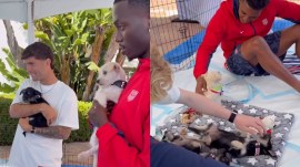The USMNT has partnered with their first official pet care partner in Purina to introduce three terrier/mixed breed puppies to the squad. (Wags and Walks Instagram)