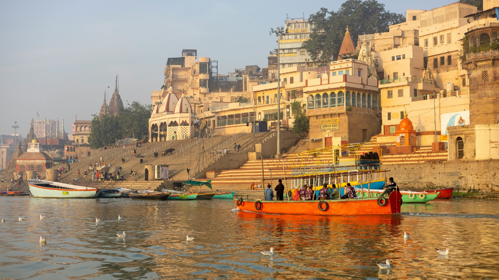 Varanasi meat shops to move to outskirts, 20,000 jobs on the line