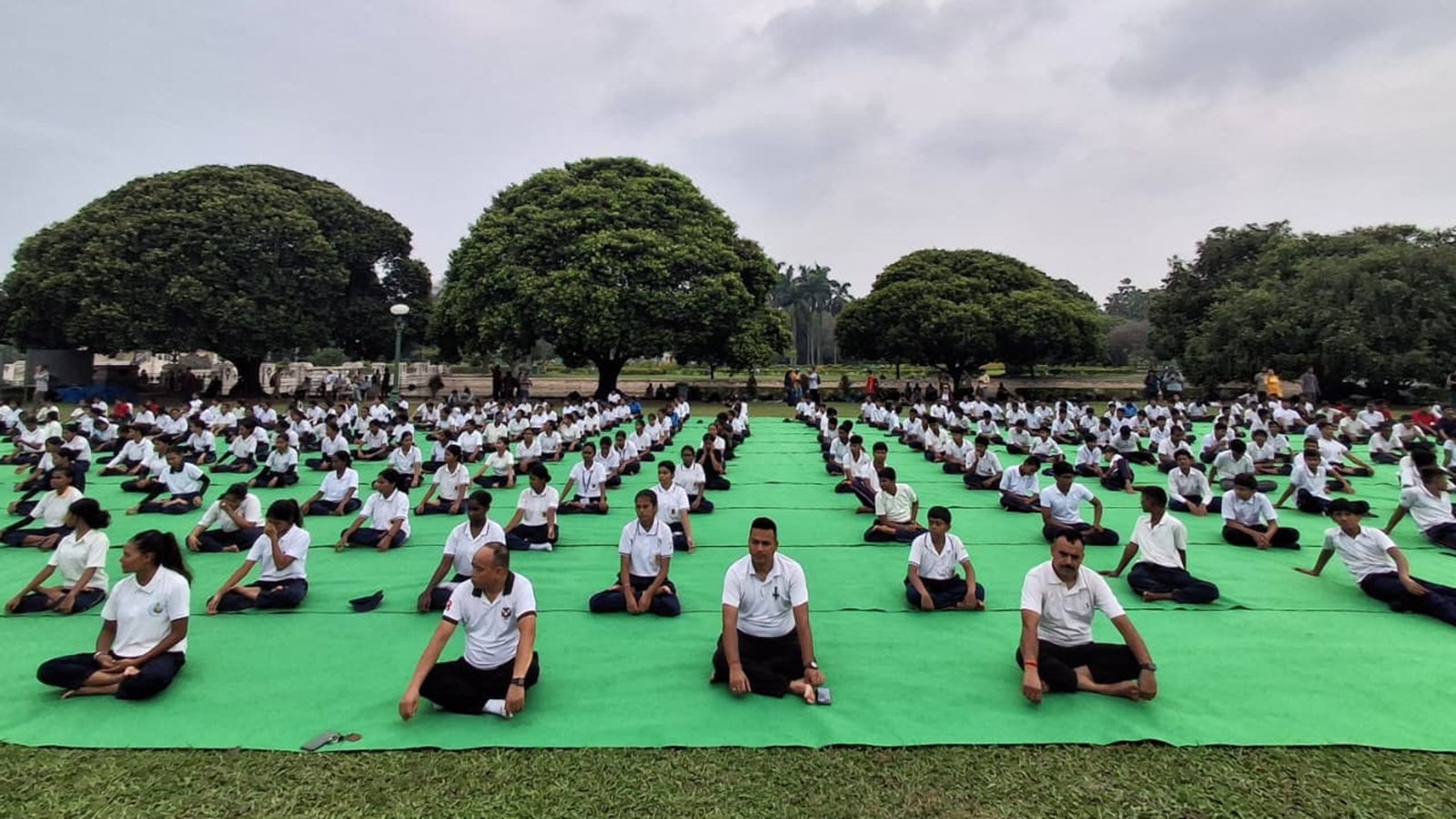 A psychiatrist writes: The yoga mat might be the most underused tool in my clinic