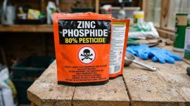 zinc phosphide, poison,