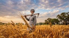 Basmati GI tag Punjab Madhya Pradesh