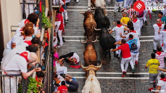 From the second day onwards, the chasing and running take place in the narrow streets of Pamplona