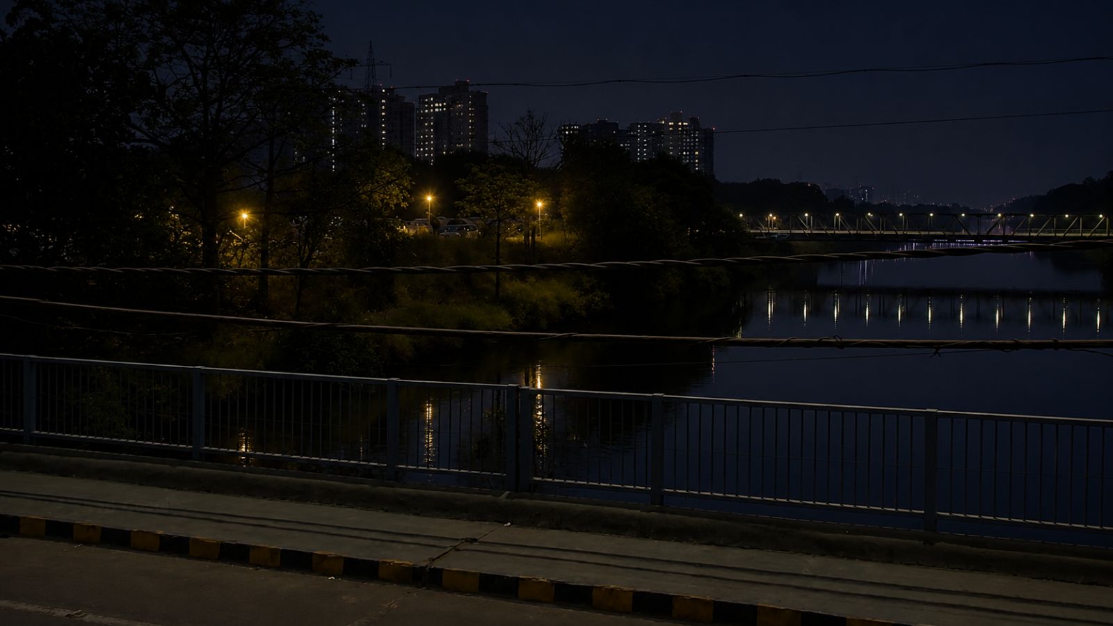 Bodies of woman, gym trainer in canal near Delhi, and a bloody hammer mystery