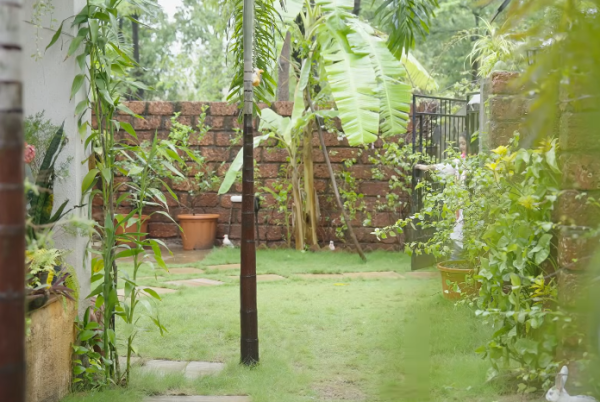 Alpana Buch's garden area