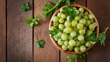 Amla