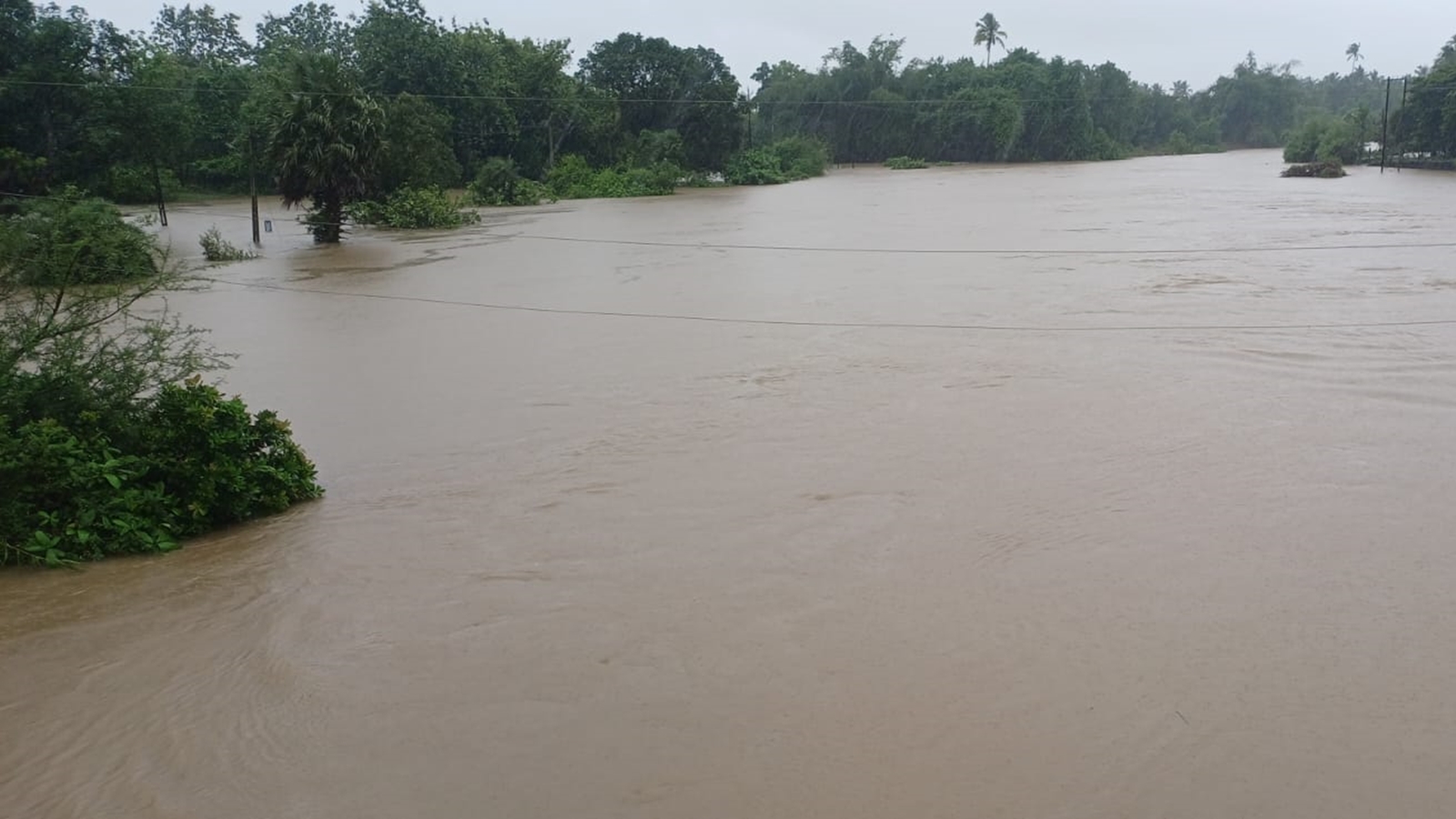 1 dead, 1,600 shifted as heavy rain throws life out of gear in Surat, Valsad & Navsari