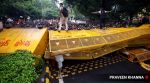 Supporters of Cockroach Janta Party (CJP) protest near Jantar Mantar, in New Delhi. (Express Photo by Praveen Khanna), democracy