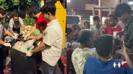 CJP protest, Jantar Mantar protest, students distribute food, hospital attendants food donation, viral protest videos, Delhi protest, food donations for protesters, protest cleanup, Jantar Mantar cleanup, student protest India, social media reactions, CJP supporters