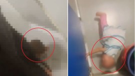 Capgemini Bengaluru crèche abuse case, Capgemini daycare abuse, Bengaluru crèche abuse, child abuse at daycare, Juvenile Justice Act, BNS child cruelty, Brookefield crèche, District Child Protection Unit, Capgemini Bengaluru news, Bengaluru crime news, Indian Express news