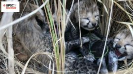 UPSC Essentials daily subject quiz : Environment and Geography