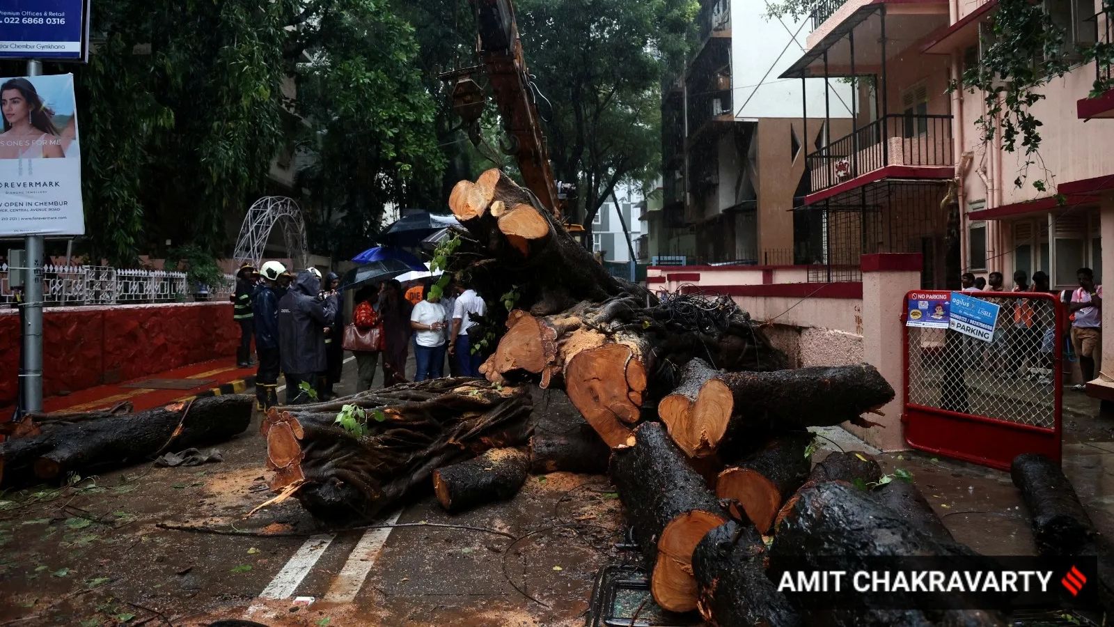 BMC orders fresh probe into Chembur tree collapse rejects panel's clean chit