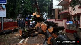 chembur, tree collapse, mumbai,
