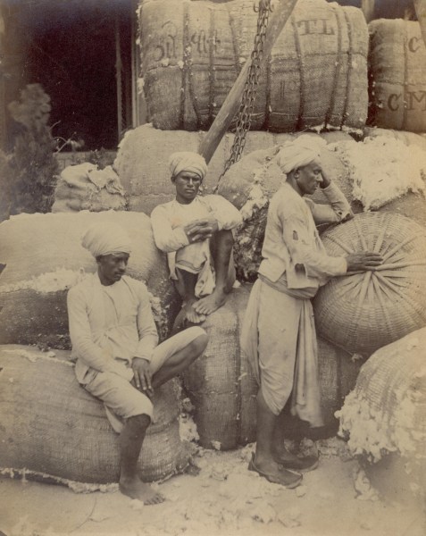 cotton trade in India
