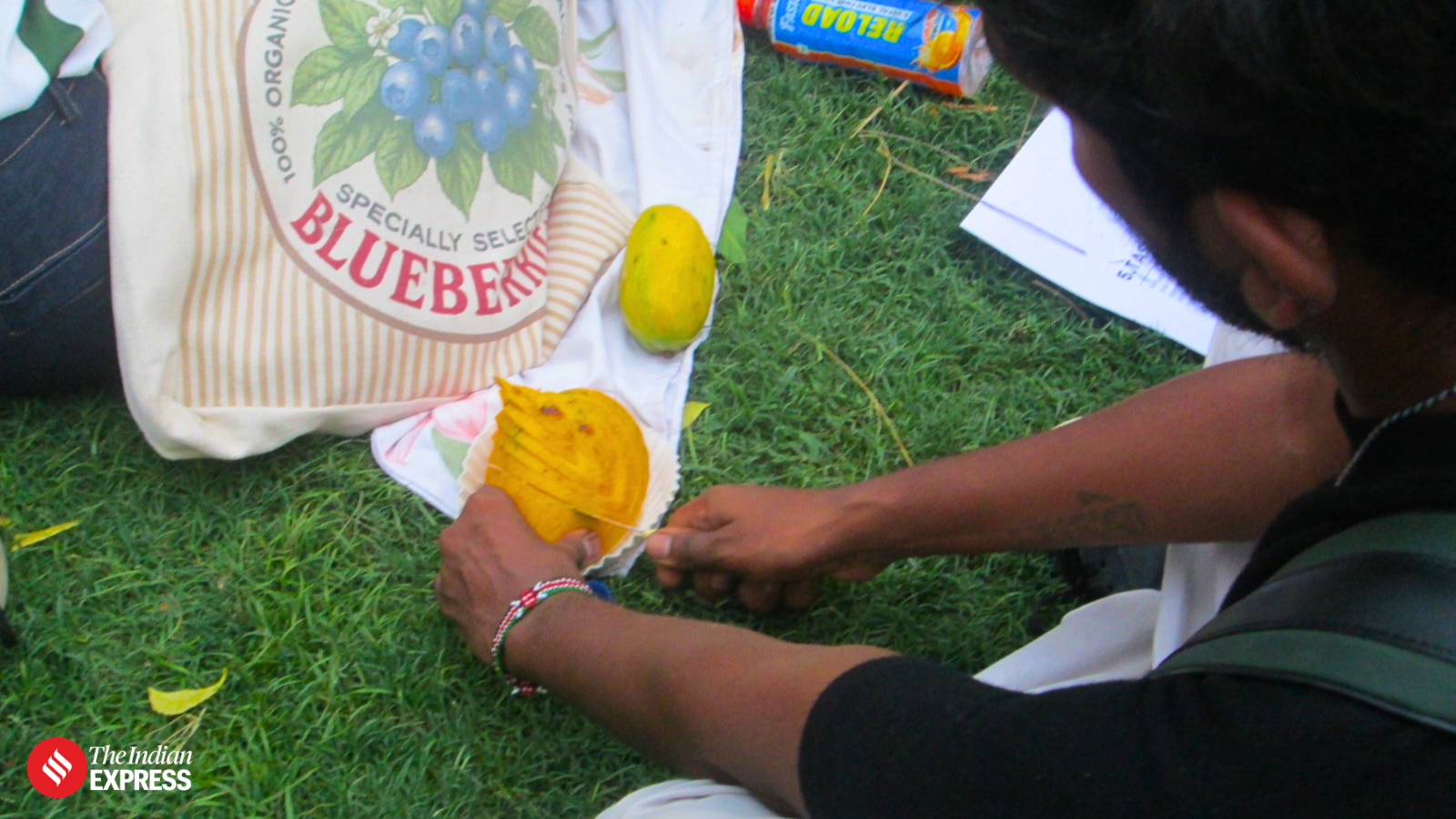 What a mango can teach us about escaping the hustle culture