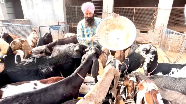 Punjab